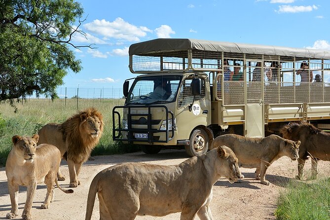 Lion & Safari Park - What a private ride in an air-conditioned vehicle really means