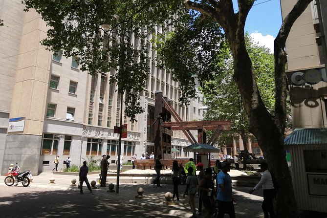 LocalPlaces Understanding Johannesburg Walking Tour - Price and what $80.80 buys in a 4-hour private CBD route