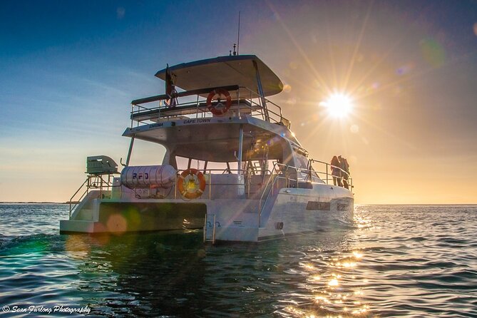 Luxury Sunset Cruise with Prosecco - What you actually see at sea: Table Mountain, the city, and marine life