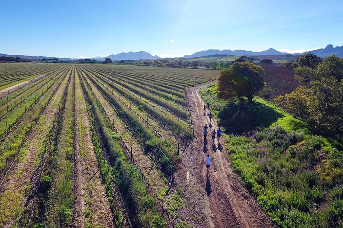 Luxury Wine Tour with Lunch - Stop 2 in Franschhoek: centuries-old vineyards and Cape Dutch details