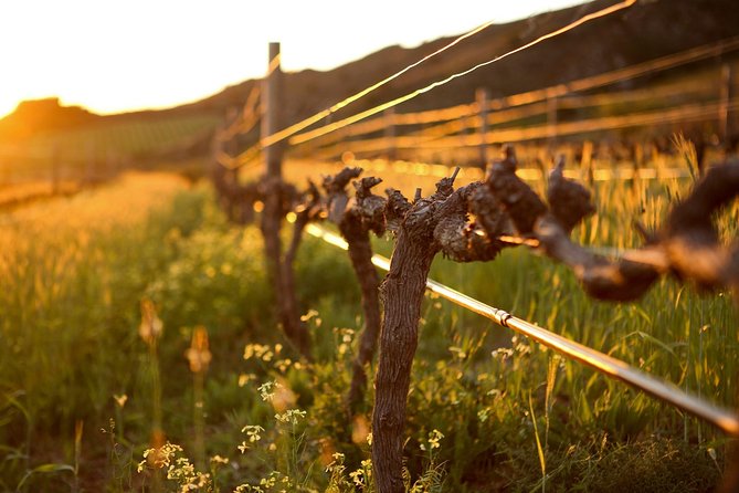 Luxury Wine Tour with Lunch - Helshoogte scenic drive: a short, pretty reset between tastings