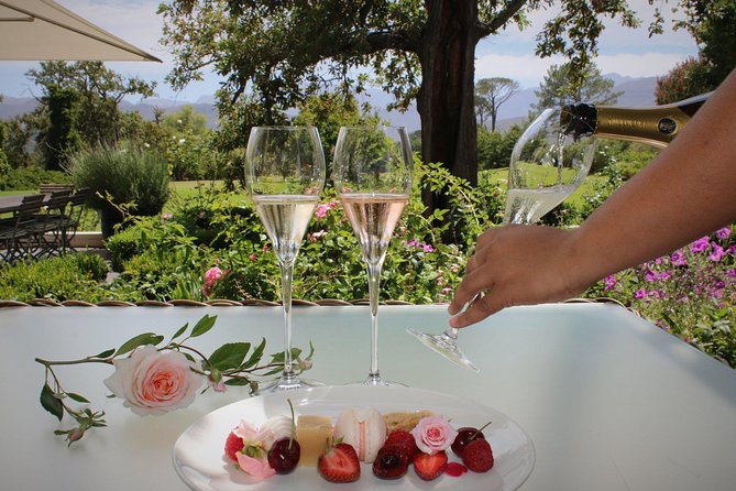 Luxury Wine Tour with Lunch - Cheetah Outreach in Somerset West: conservation that adds heart