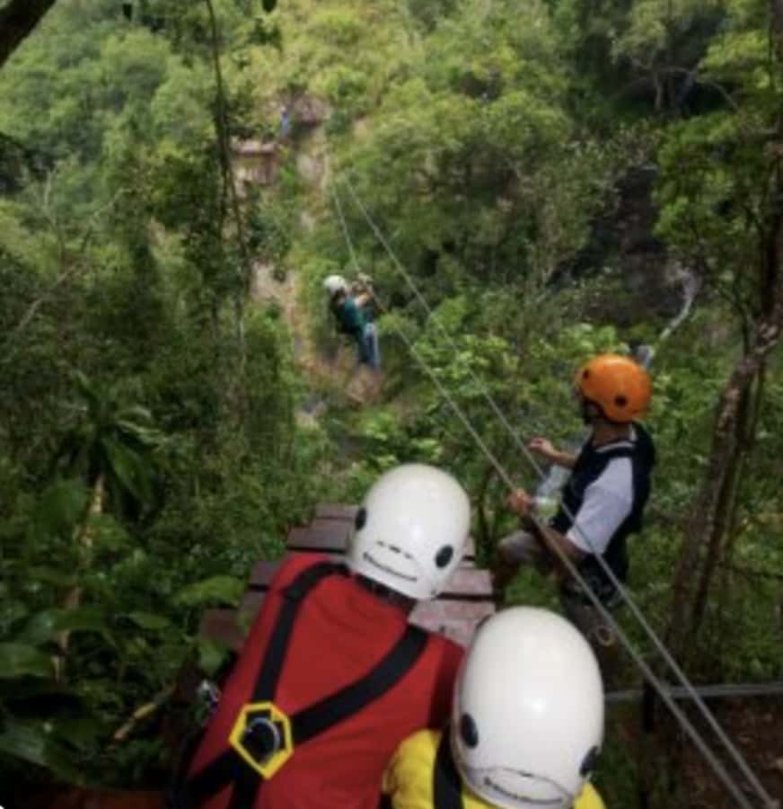 Magoebaskloof Adventures: 2H Canopy Tour - Views over the river and falls: what you actually notice up there