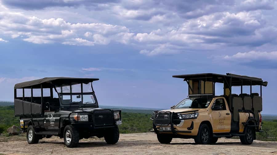 Malelane & Komatipoort: Kruger National Park Half-Day Safari - Early Morning Pickup Into the Kruger Savanna