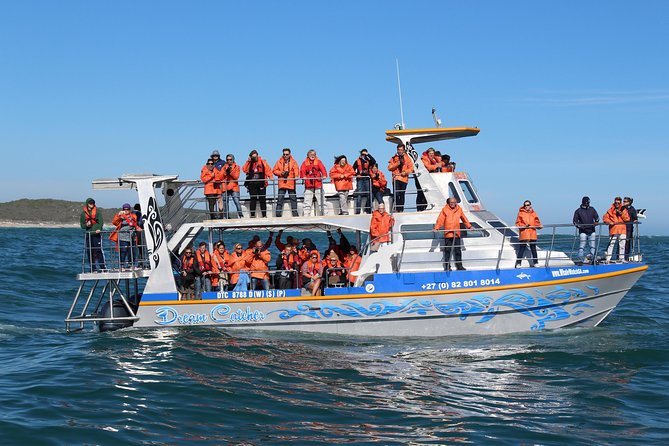 Marine Big 5 Full Day Guided Return Transfer Cape Town - Gansbaai - Who this day trip suits best