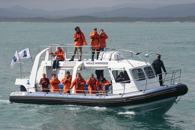 Marine Big 5 Safari full day trip from Cape Town - On the boat: two decks, seal viewing, and how to pick your spot