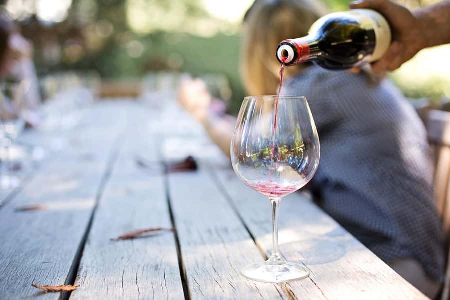 Marine Eco Cruise and Half-Day Wine Route with Tastings - Why This Mix of Table Bay Wildlife and Stellenbosch Wine Works