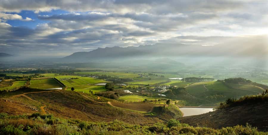 Marine Eco Cruise and Half-Day Wine Route with Tastings - Stellenbosch Orientation: Dorp Street, De Braak, and a Walk That Helps It Make Sense
