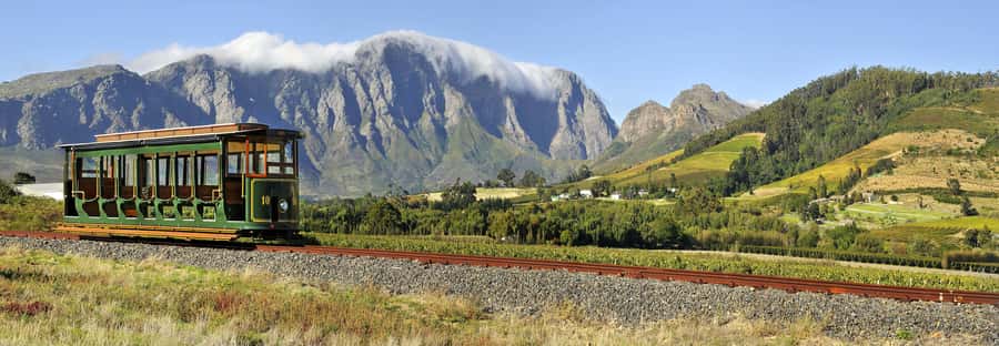 Marine Eco Cruise and Half-Day Wine Route with Tastings - Wine Tasting at a Stellenbosch Estate: One Tasting, Cellar Visit, and Cheese