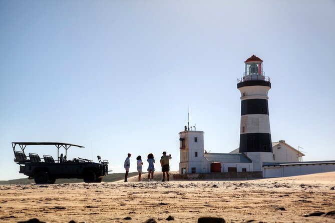 Marine Eco Safari - A Land-Based Marine Safari That Packs the Coast Into 3 Hours