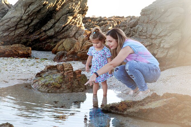 Marine Eco Safari - The Botanical Side You Might Not Expect at Cape Recife