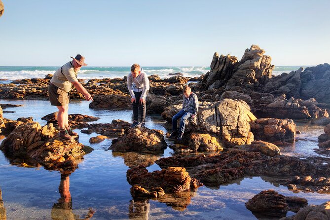Marine Eco Safari - Logistics That Matter: Where You Meet, Pickup, and Mobile Tickets