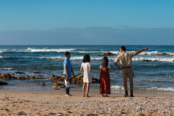 Marine Eco Safari - Cape Recife: Whales, Dolphins, and the Birding Hotspot