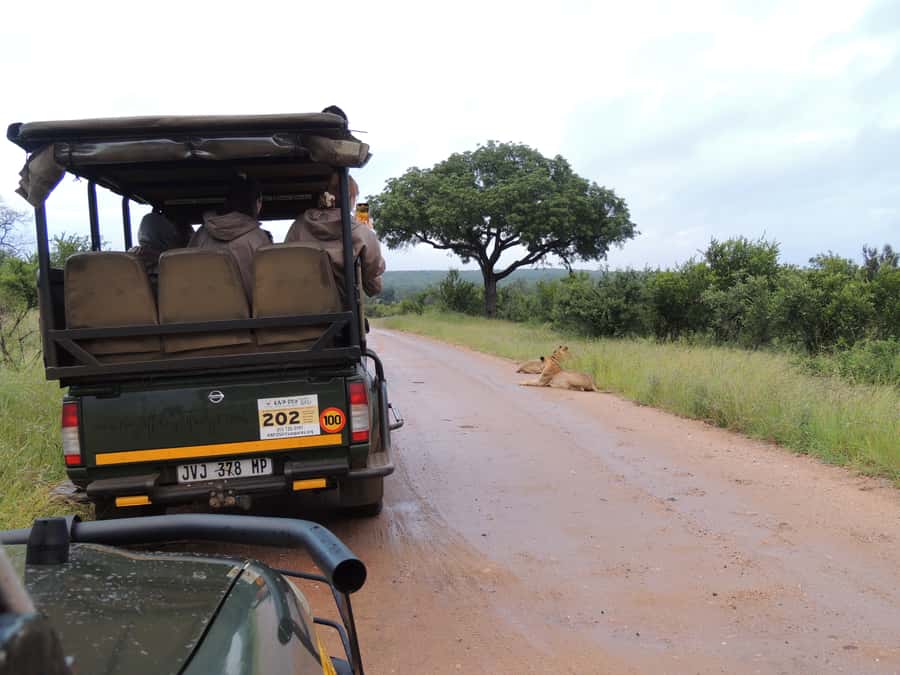Marloth Park: Kruger National Park Safari Game Drives - Breakfast timing and the half-day versus full-day structure