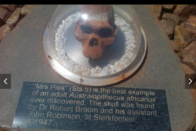 Maropeng Cradle of Humankind Museum &Sterkfontein Cave Experience - Inside Maropeng Museum: Exhibits, Underground Boat Ride, and the “A to E” Water Story