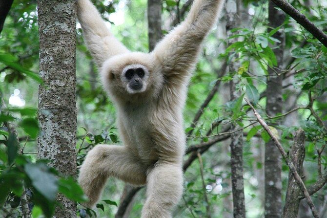 Monkeyland Guided Tour in Plettenberg Bay - Key takeaways before you go