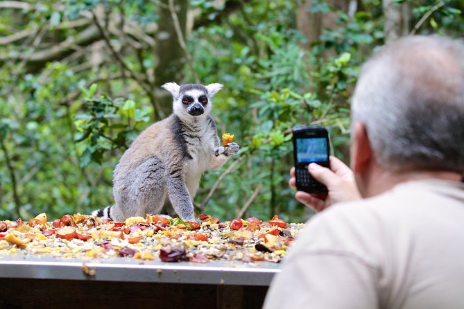 Monkeyland Guided Tour in Plettenberg Bay - Monkeyland Primate Sanctuary: 12 hectares of primate focus near Plettenberg Bay