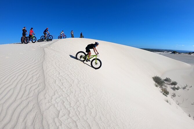 Morning Fatbike Dune Tour - Key highlights before you go