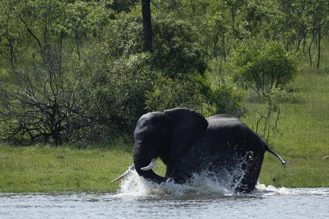 Morning Safari in Kruger National Park from Hazyview (AM KNP) - What you learn on the drive, and why it makes spotting easier