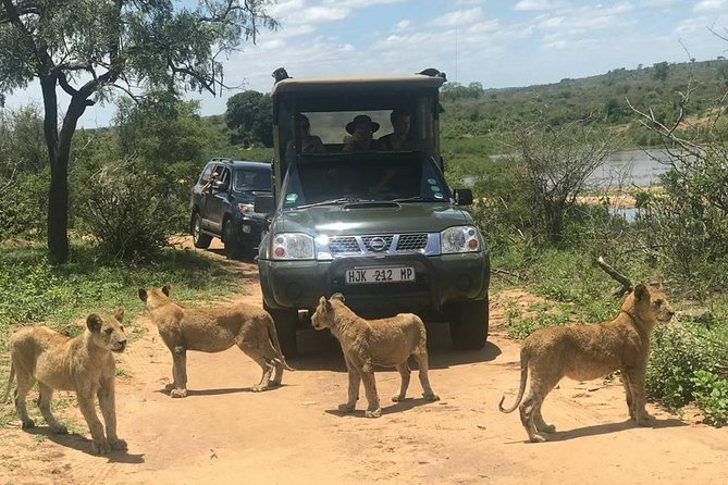 Morning Safari in Kruger National Park from Hazyview (AM KNP) - What to bring, how to dress, and how to stay sharp at 5:00 am