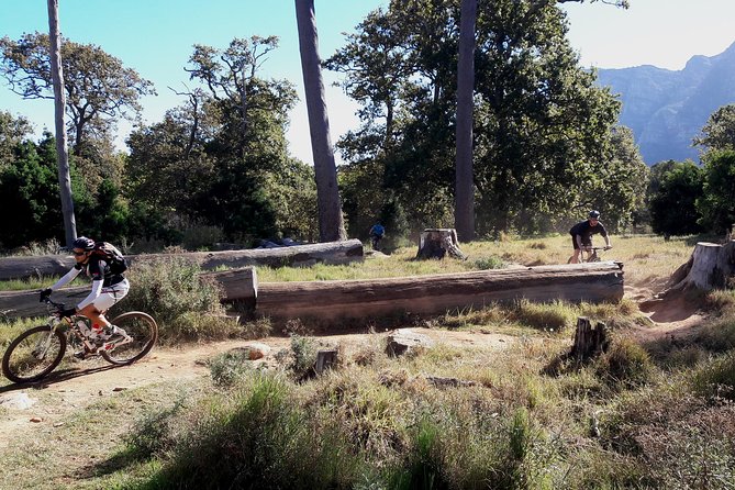 Mountain Biking Table Mountain to Constantia Morning Ride - Table Mountain to Constantia: one half-day that hits three different vibes