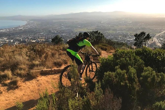 Mountain Biking Table Mountain to Constantia Morning Ride - Newlands forest single tracks build skill and stamina