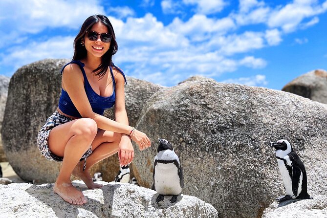 MUST DO: Boulders Beach & Cape Point Full Day Tour #1 Rated - Morning pickup and the Atlantic Seaboard start (7:30 am energy)