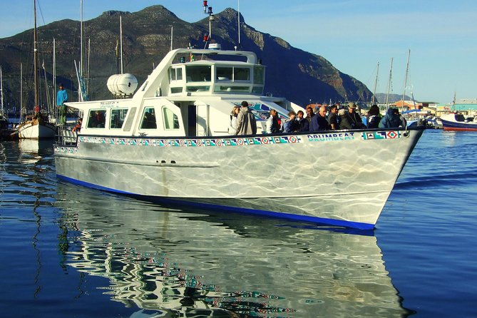 MUST DO: Boulders Beach & Cape Point Full Day Tour #1 Rated - Transport, timing, and the group size reality check