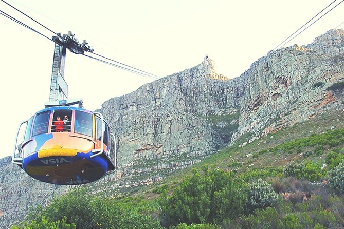 Nelson Mandela's Robben Island Prison Museum Cape Town City Tour + Ferry Tickets - Company’s Gardens: a Dutch refreshment stop that still tells a story