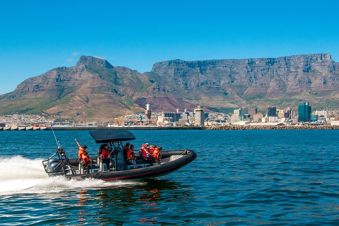 Ocean Safari - Key Points to Know Before You Go