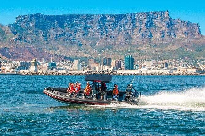 Ocean Safari - RIB Ride Comfort: What the Boat Feels Like and Who It Suits