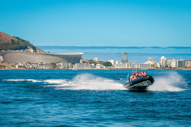 Ocean Safari - Eco-Friendly Angle: What It Really Means Here