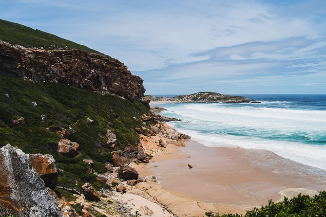 One-Way Hop-on Hop-off Bus from Port Elizabeth to Cape Town - The schedule reality: plan around once-a-day departures