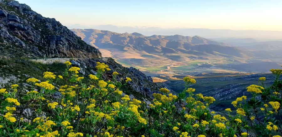 Oudtshoorn: Half-Day Swartberg Pass Private Guided Tour - Key things to know before you go