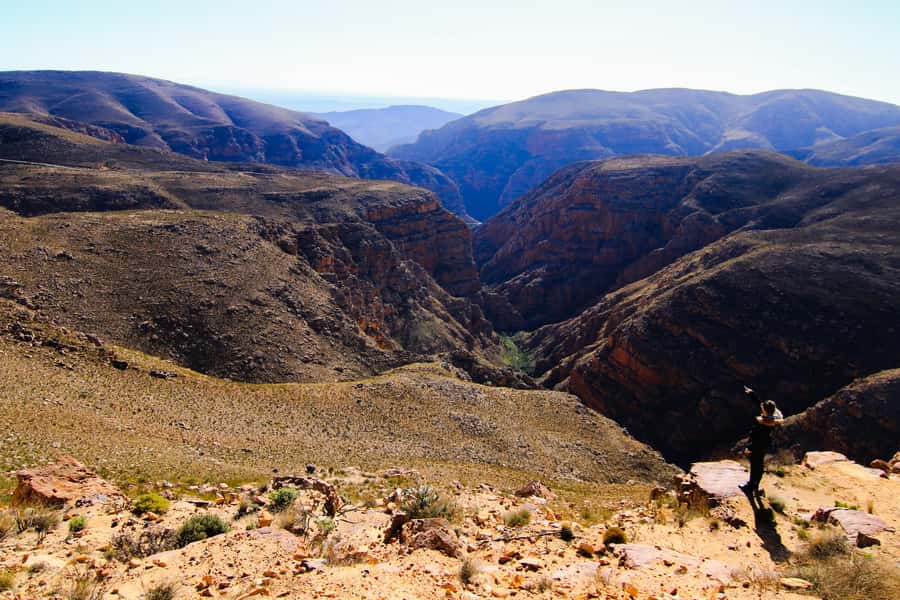 Oudtshoorn: Half-Day Swartberg Pass Private Guided Tour - Fynbos on the slopes: how a guided walk turns plants into knowledge