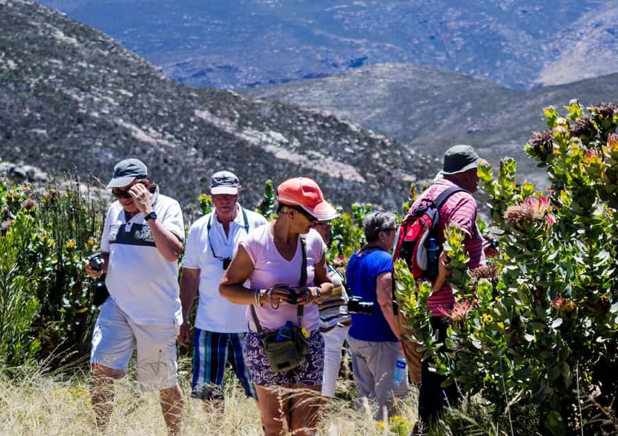 Oudtshoorn: Swartberg Mountain Pass Tour with Country Lunch - Swartberg Pass at 1,585 m, where the Karoo opens up in all directions