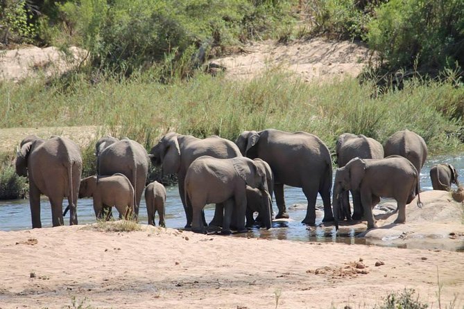 Overnight Kruger National Park Classic Camping Safari - Guides Like Muzi, Roy, Mozi, Sifuso, and Manzimi: What Good Facilitation Adds