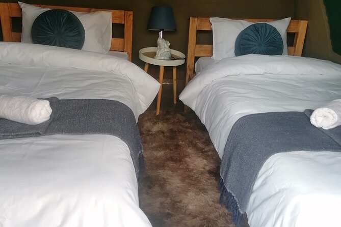 Overnight Kruger National Park Classic Camping Safari - Day One Afternoon or Sunset Drive, Then Dinner Under African Skies