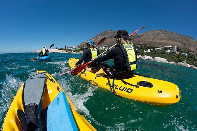 Paddle with the Penguins - From Seaforth Beach to the Water: What Your Time Looks Like