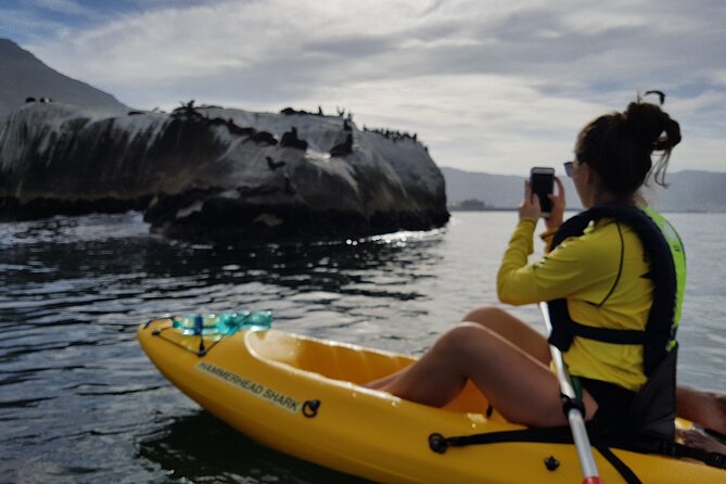 Paddle with the Penguins - Safety on the Big Blue: What You Can Rely On