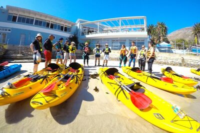 Paddle with the Penguins