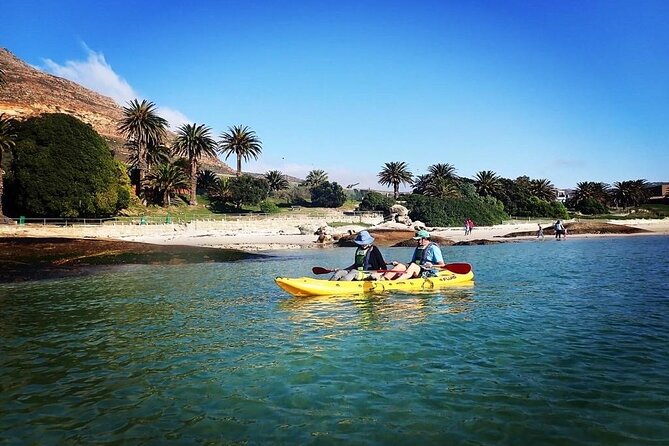 Paddle with the Penguins - What to Bring (Since Water, Sun, and Towels Are Not Included)