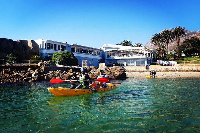 Paddle with the Penguins - Learning While You Paddle: Penguins and Marine Life From the Water