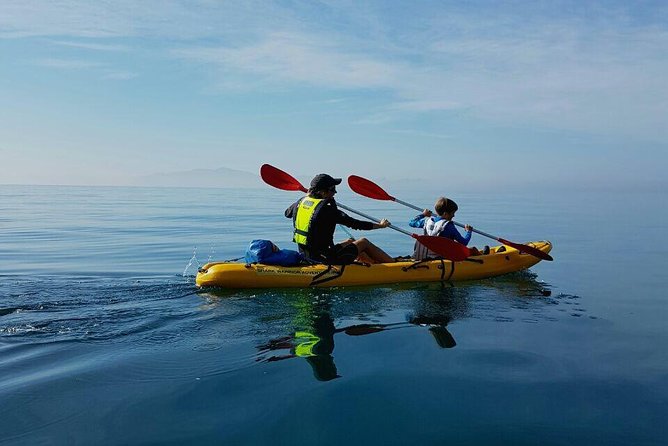 Paddle with the Penguins - Price and Value: Is $34.63 a Good Deal?