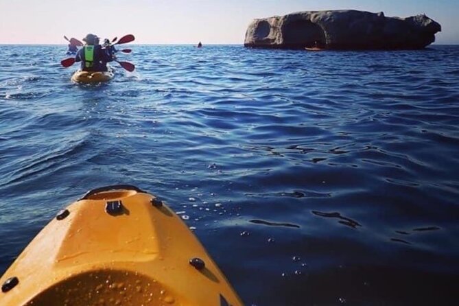 Paddle with the Penguins - Weather, Wind, and Your Backup Plan
