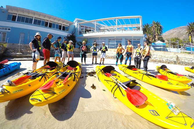 Paddle with the Penguins - Kayaks, Seats, and Fitness: Picking the Right Setup