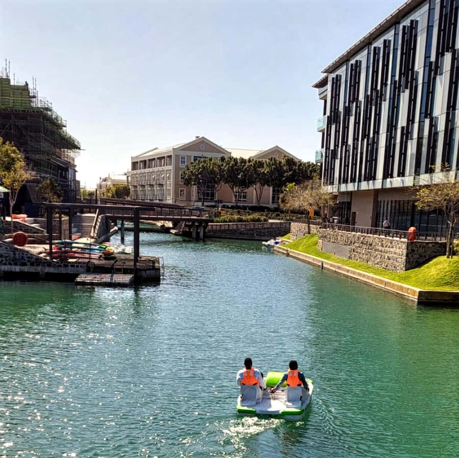 Pedal Boat Ride V&A Waterfront - Cape Town - When to Go: Mid-Mornings Beat the Wait-and-See Game