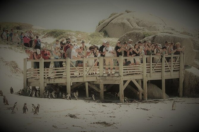Penguin Encounter Boulders Beach Half Tour Day from Cape Town - Boyes Drive in Muizenberg: A Short Coastal Stop for Surfers and False Bay Views