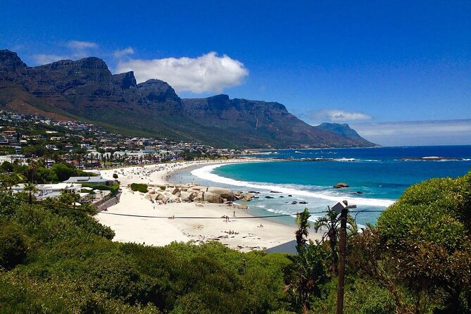 Penguins Cape of Good Hope, Cape Point Private Tour - Boulders Beach Penguin Colony, boardwalk views that feel almost unfair