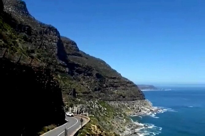Penguins Cape of Good Hope, Cape Point Private Tour - Price and what makes it feel like value for money